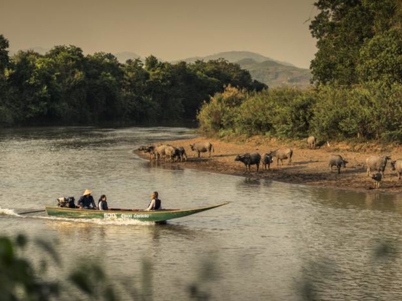 Four Seasons Tented Camp Golden Triangle  151821