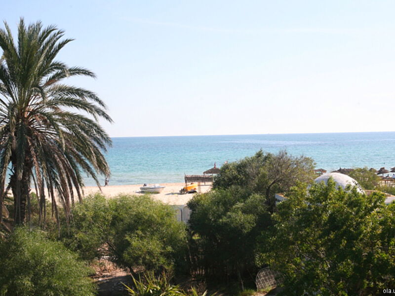 Fourati Hammamet  16232