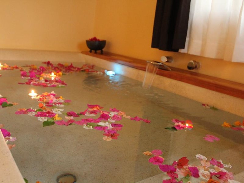 Fruit and Spices 199877