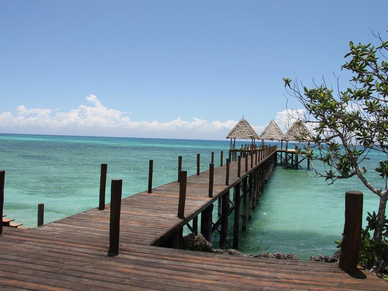 Fruit and Spices 199879