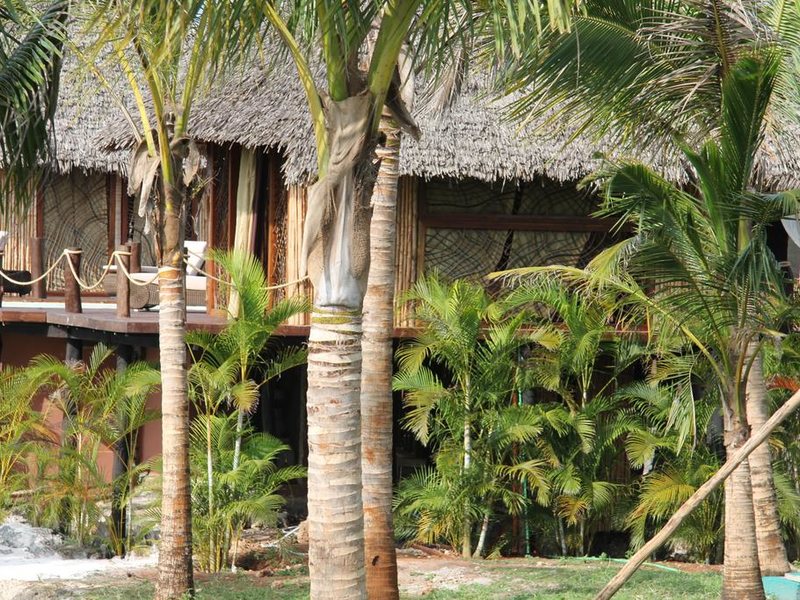 Fruit and Spices 199883