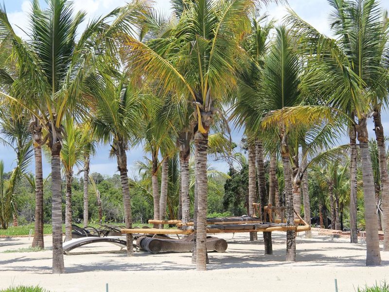 Fruit and Spices 199887