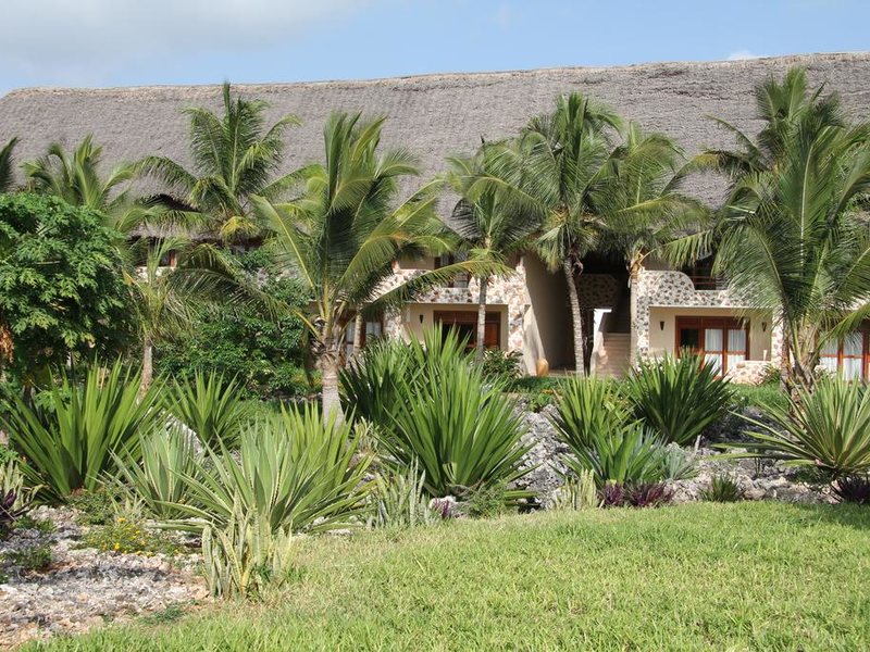 Fruit and Spices 199888