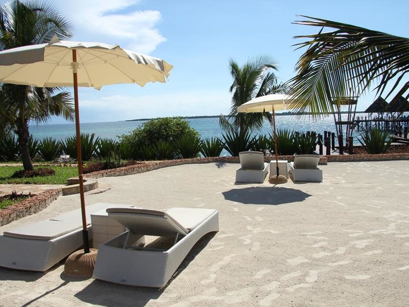 Fruit and Spices 199894