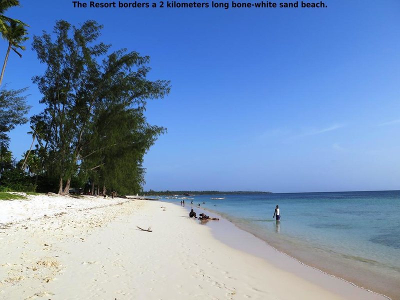 Fruit and Spices 199900