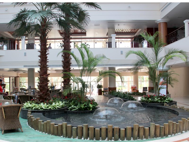 Fujairah Rotana Resort & Spa - Al Aqah Beach 46511