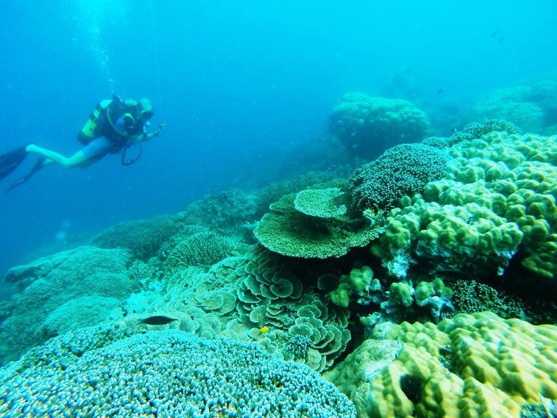 Fumba Beach Lodge 199923