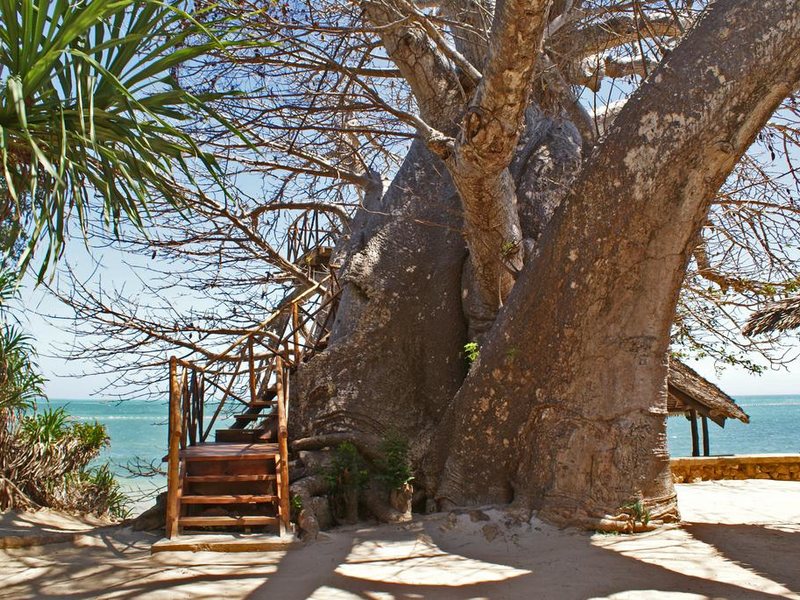 Fumba Beach Lodge 199953