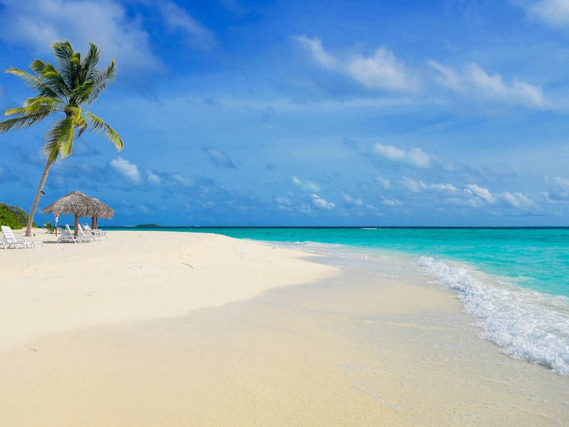 Furaveri Island Resort 134913