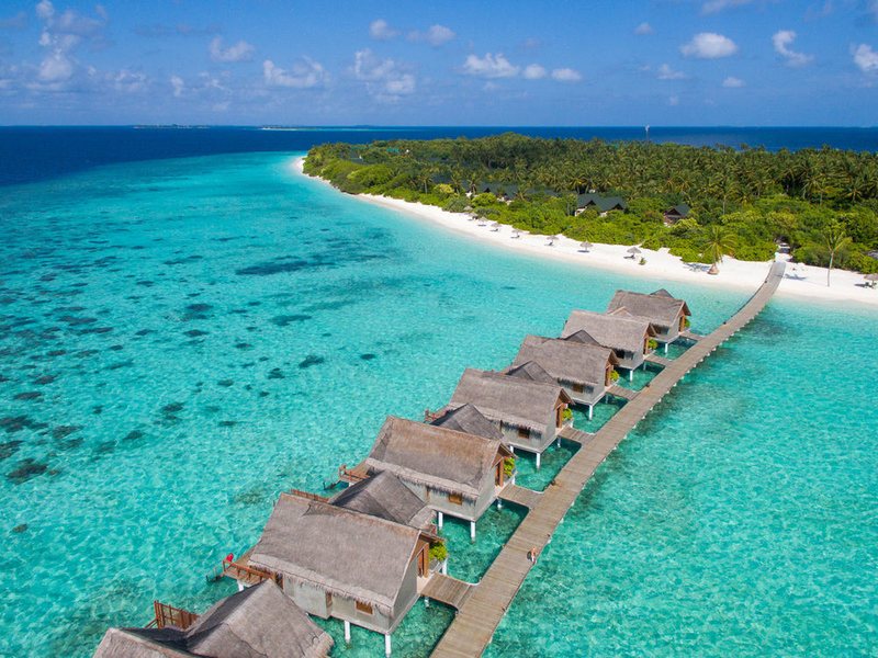 Furaveri Island Resort 134957