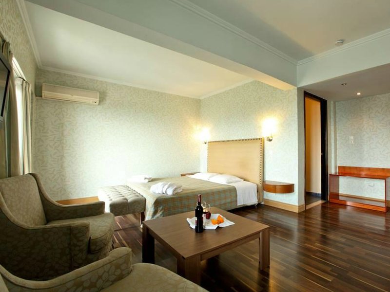 Galaxy Athens Hotel 76858