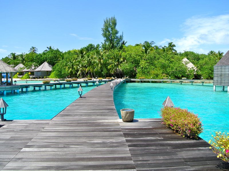 Gangehi Island Resort 228054