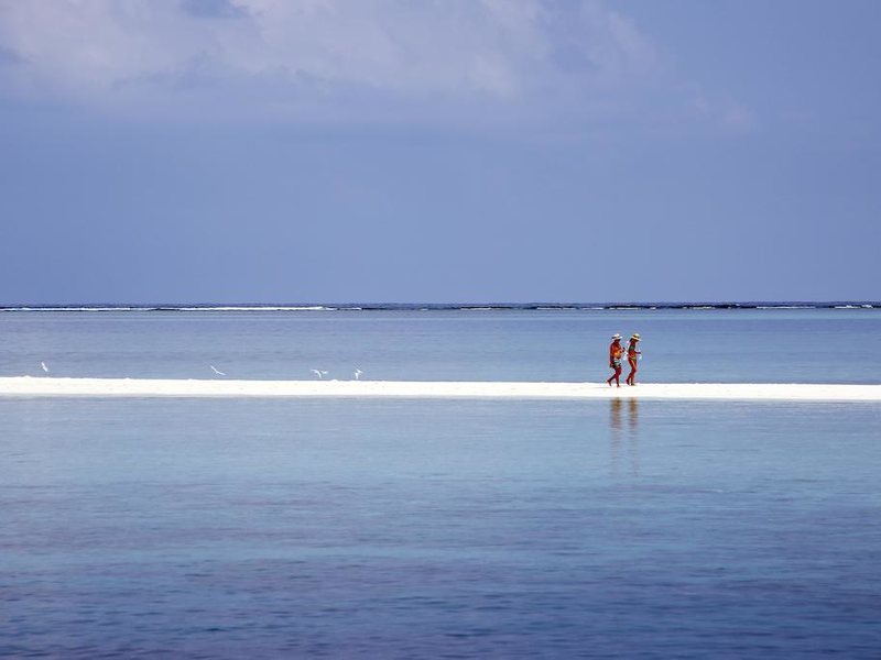 Gangehi Island Resort 228065