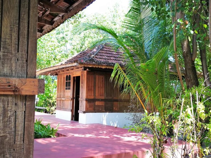 Gangehi Island Resort 228073