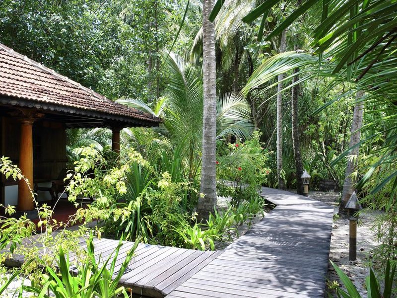 Gangehi Island Resort 228075