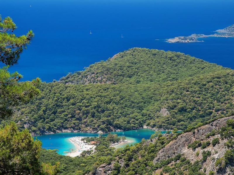 Garcia Resort & Spa Hotel 183377