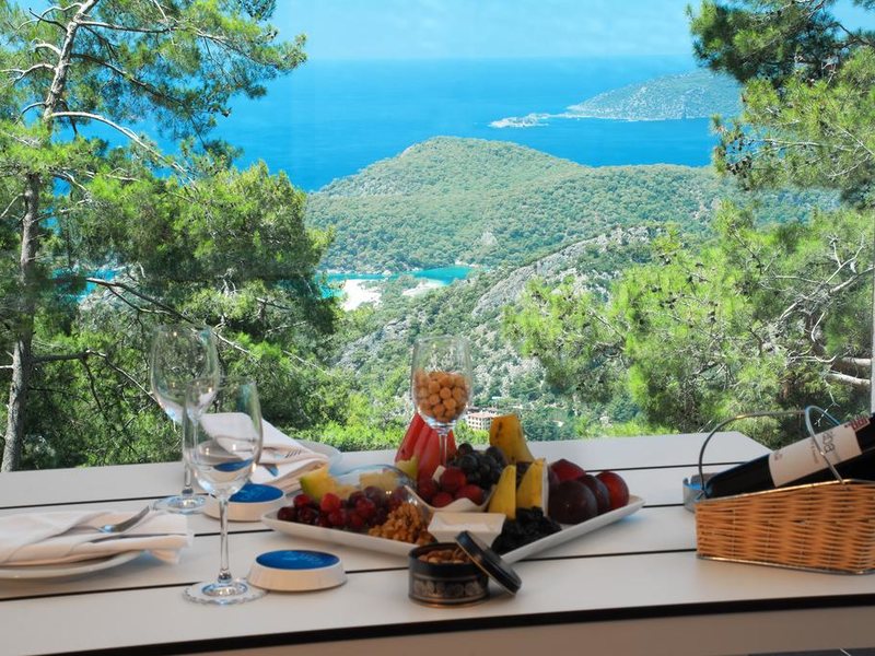 Garcia Resort & Spa Hotel 183381