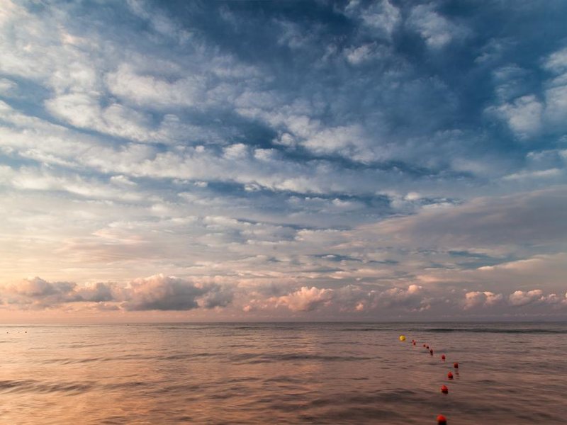 Garden Of Eden 174369