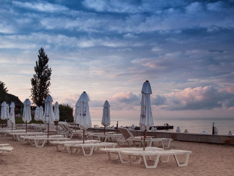 Garden Of Eden 174370