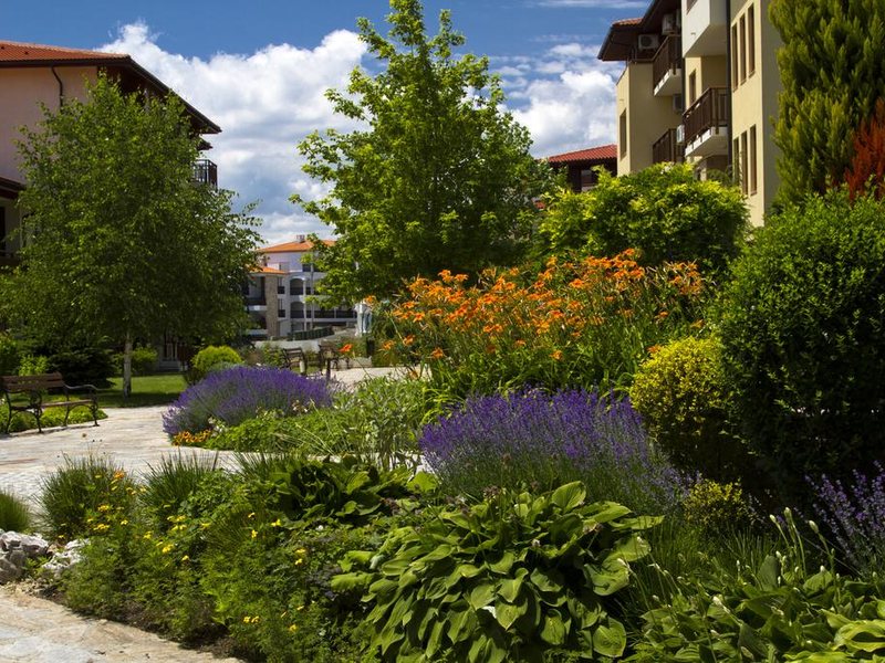 Garden Of Eden 174371