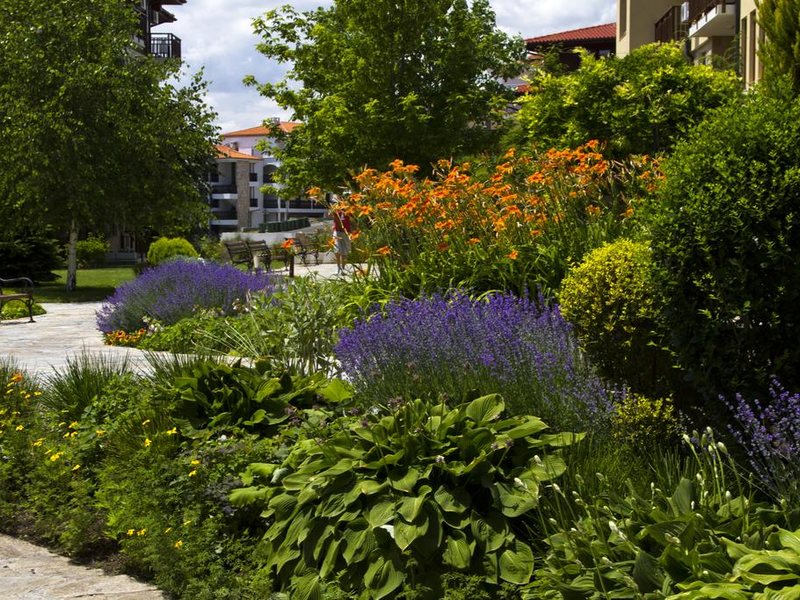 Garden Of Eden 174376