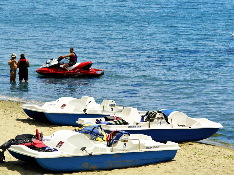 Garden Of Eden Apart  170967