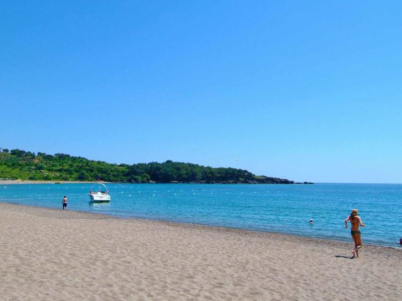 Gardenia Beach 195343