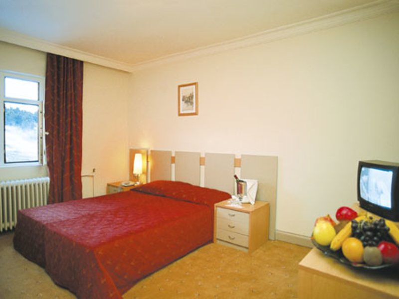 Genc Yazici Regency Hotel 28918