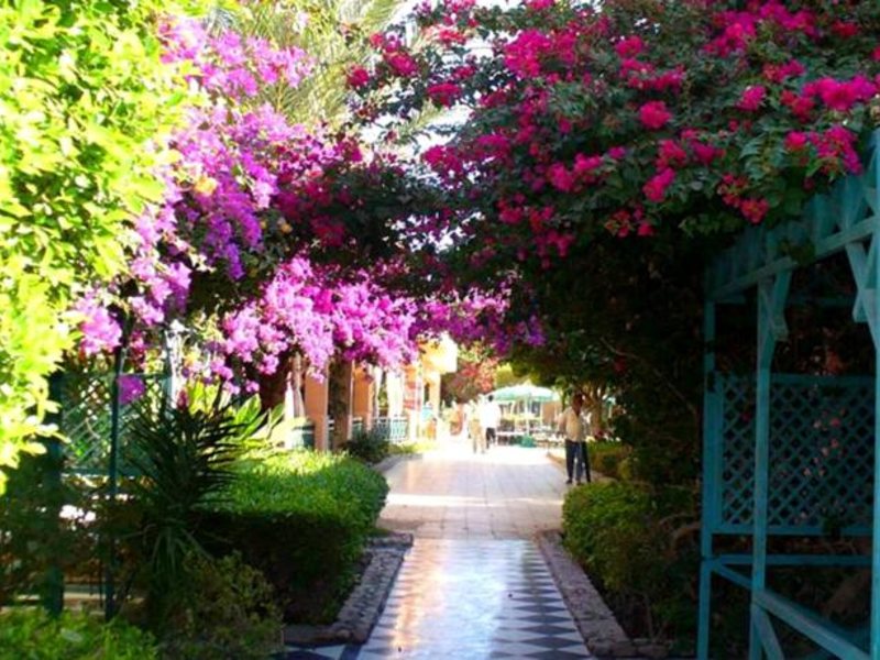 Giftun Azur Resort 124090