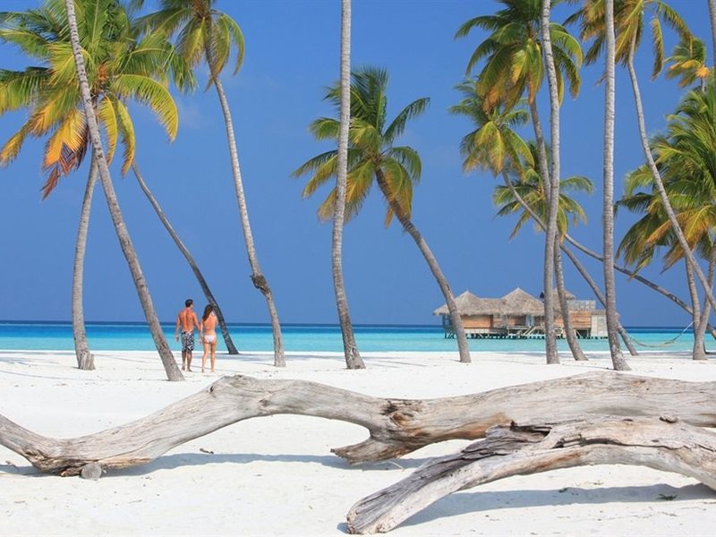 Gili Lankanfushi 134982