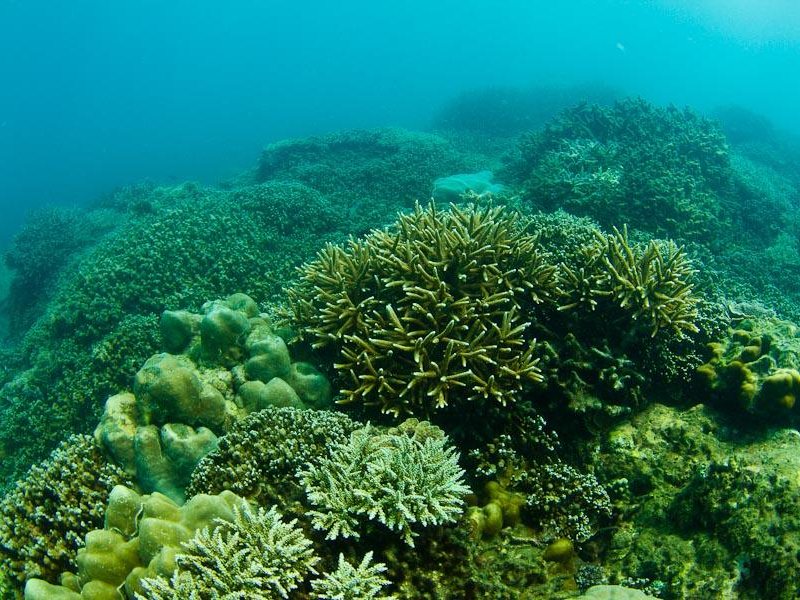 Giman Free Beach Resort 107541