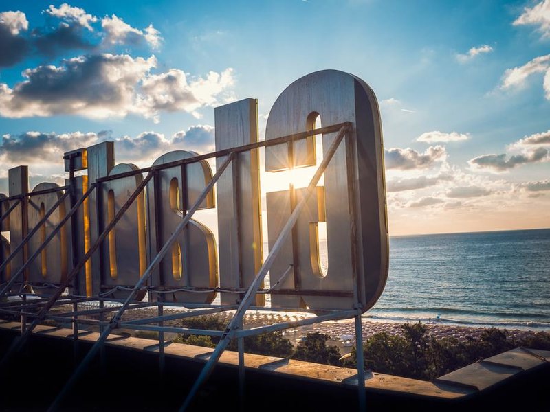 Gladiola Star 170995