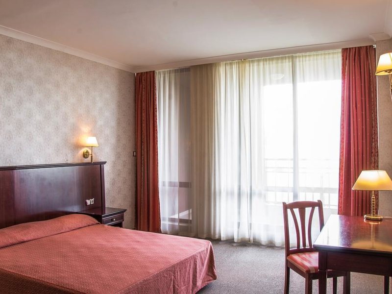 Gladiola Star 170996