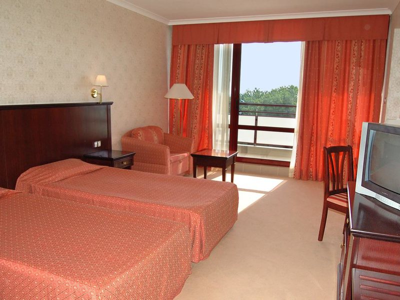 Gladiola Star 170997