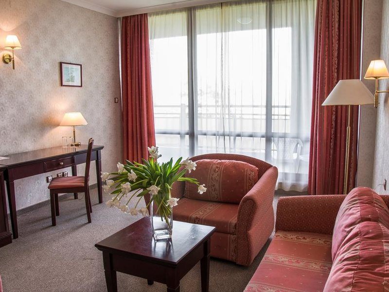 Gladiola Star 170998