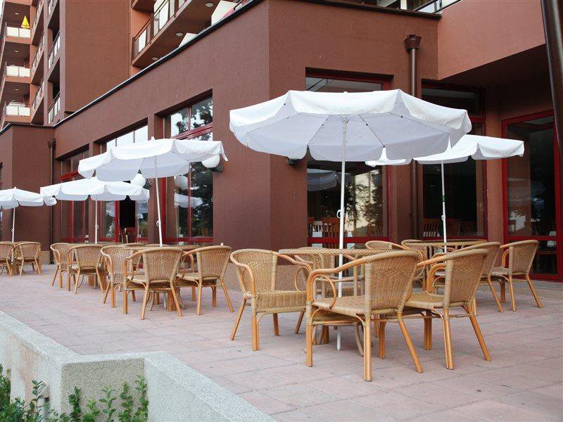 Gladiola Star 171018