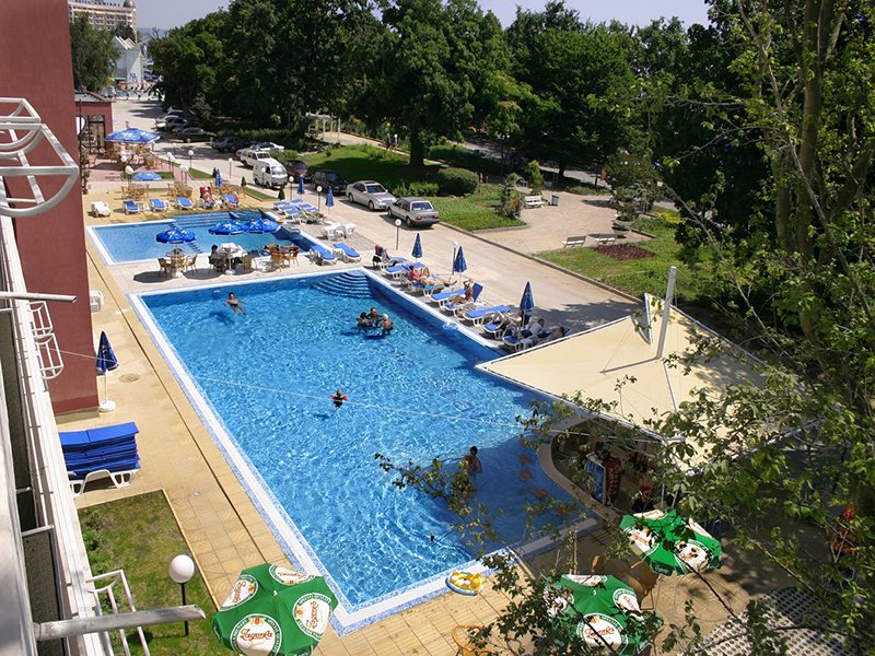 Gladiola Star 171024