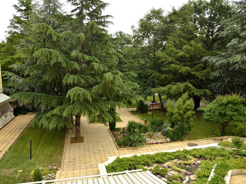 Glicinia Hotel 253407