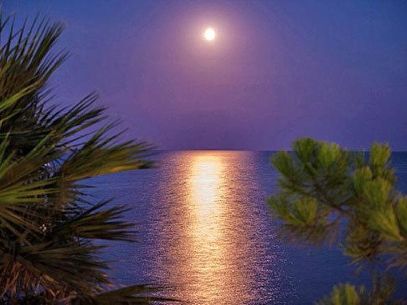 Gloria Maris Hotel Suites & Villa  305955