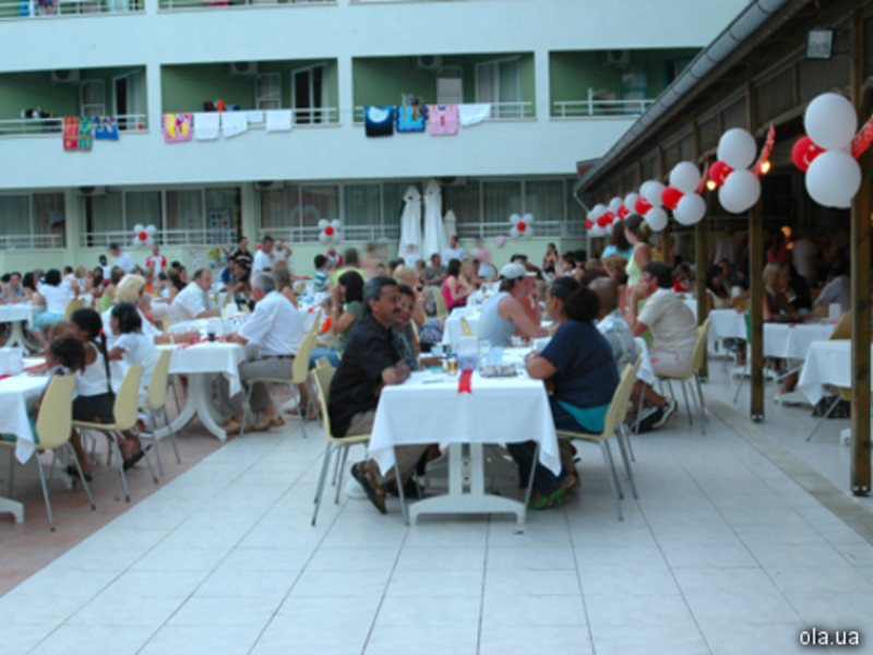 Gold Safran Hotel 8889