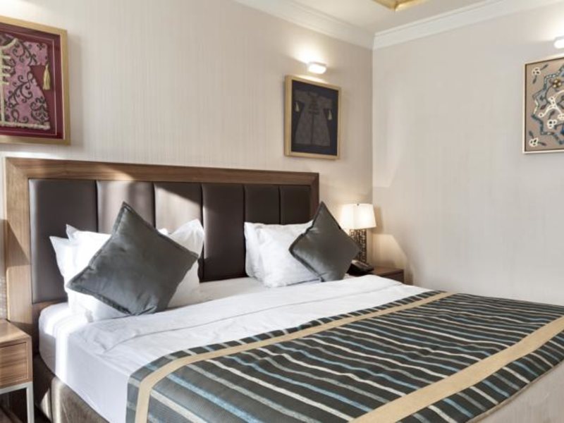 Golden Age 1 Hotel 75072