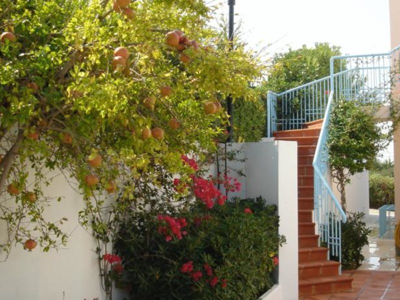 Golden Dream Apartments 100971