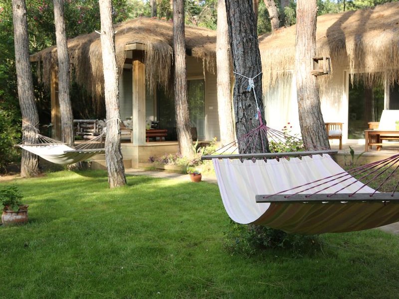 Golden Key Bordubet 276244