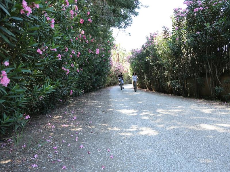 Golden Key Bordubet 276249