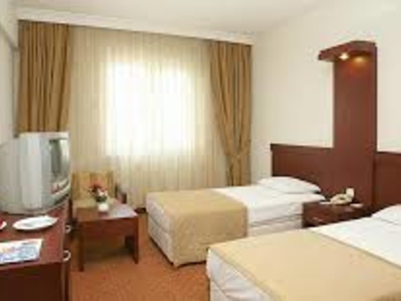 Golden Ring Hotel 301671