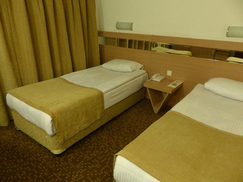 Golden Ring Hotel 301678