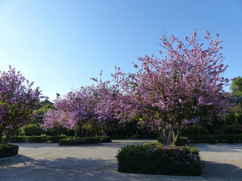 Golden Ring Hotel 301683