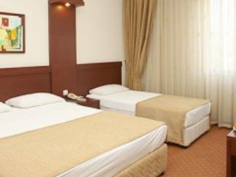Golden Ring Hotel 301687