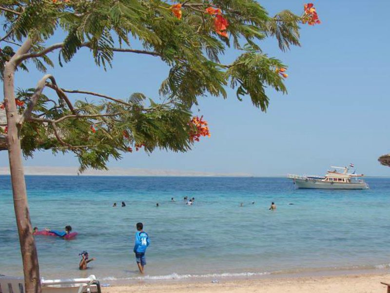 Golden Rose Hotel 124249