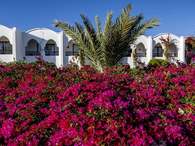 Gorgonia Beach Resort 328442